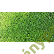 Dichondra zöld talajtakaró 100g R