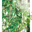 Kép 2/2 - Műanyag kerítés 1 m magas 46 mm x 44 mm, zöld