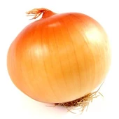 Hagyma
