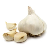Burgonya minigumó, dughagyma