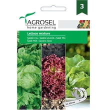 Saláta mix vetőmagszalag A