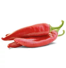 BOLERO F1 édes fűszerpaprika 1000 szem