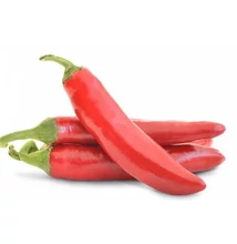 SZEGEDI 178 csípős fűszerpaprika 10 000 szem SZEGEDI 178 csípős fűszerpaprika 10 000 szem