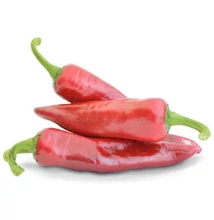 SZIKRA F1 csípős fűszerpaprika 1000 szem