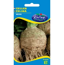 Neon Zeller drazsírozott