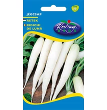 Erfurti fekete retek Erfurti fekete retek