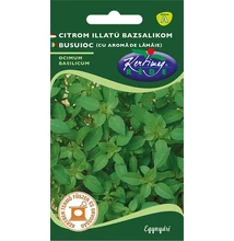 Bazsalikom Citrom illatú Bazsalikom Citrom illatú
