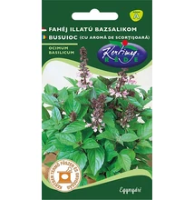 Bazsalikom Fahéj illatú Bazsalikom Fahéj illatú
