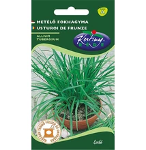 Metélőfokhagyma Metélőfokhagyma