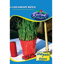 lucabúza lucabúza