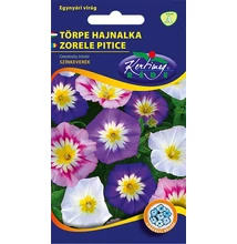 Hajnalka törpe színkeverék Hajnalka törpe színkeverék