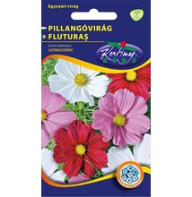 Pillangóvirág Pillangóvirág