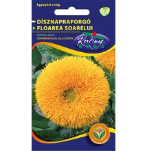 Dísznapraforgó Sonnengold Dísznapraforgó Sonnengold