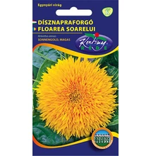 Dísznapraforgó Sonnengold Dísznapraforgó Sonnengold