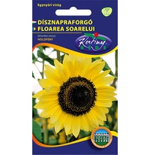 Dísznapraforgó Sonnengold Dísznapraforgó Sonnengold