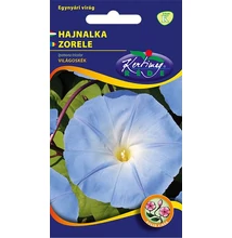 Hajnalka futó világoskék Hajnalka futó világoskék