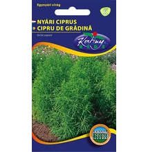 Nyári ciprus Nyári ciprus