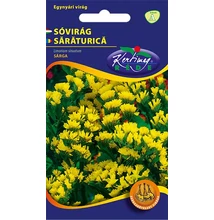 Sóvirág egynyári - Limonium Aranysárga Sóvirág egynyári - Limonium Aranysárga