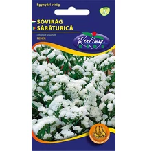 Sóvirág egynyári - Limonium Fehér Sóvirág egynyári - Limonium Fehér