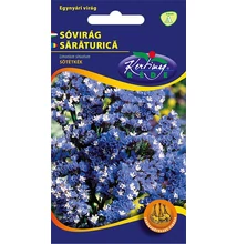 Sóvirág egynyári - Limonium Sötétkék Sóvirág egynyári - Limonium Sötétkék