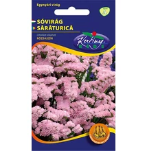 Sóvirág egynyári - Limonium Rózsaszín Sóvirág egynyári - Limonium Rózsaszín