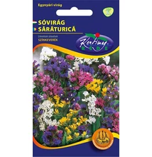 Sóvirág egynyári - Limonium Színkeverék Sóvirág egynyári - Limonium Színkeverék