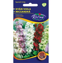 Nyári viola Nyári viola