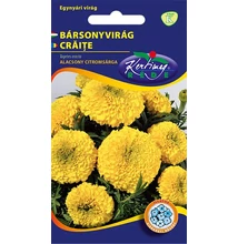 Bársonyvirág nagyvirágú citromsárga Bársonyvirág nagyvirágú citromsárga