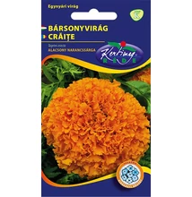 Bársonyvirág nagyvirágú narancssárga Bársonyvirág nagyvirágú narancssárga