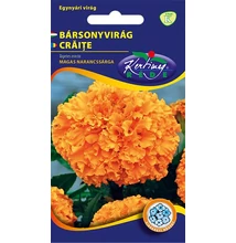 Bársonyvirág kisvirágú Narancssárga