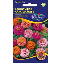Rézvirág - Zinnia Liliputi színkeverék Rézvirág - Zinnia Liliputi színkeverék