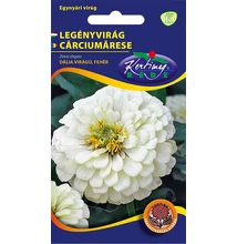 Rézvirág - Zinnia Dahlia virágú Fehér Rézvirág - Zinnia Dahlia virágú Fehér