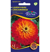 Rézvirág - Zinnia Dahlia virágú Piros Rézvirág - Zinnia Dahlia virágú Piros