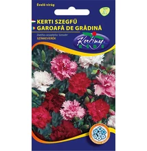Szegfű Grenadin Színkeverék Szegfű Grenadin Színkeverék