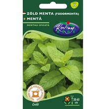 Zöldmenta