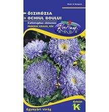 Őszirózsa Prinzess lila Őszirózsa Prinzess lila