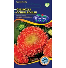 Őszirózsa Prinzess piros