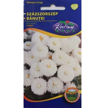 Százszorszép Fehér Százszorszép Fehér