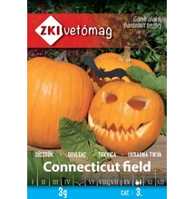 Connecticut field (Halloween tök)