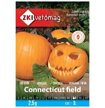 Connecticut field (Halloween tök)