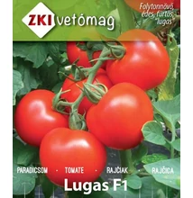 LUGAS F1 paradicsom 500 szem