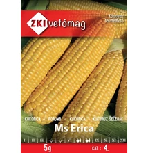 Ms Erica Ms Erica