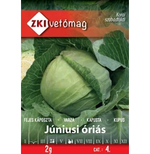 Júniusi óriás káposzta