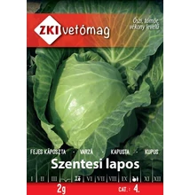 Szentesi lapos káposzta