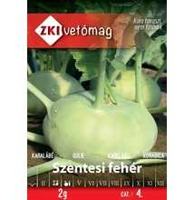 Szentesi fehér karalábé Szentesi fehér karalábé