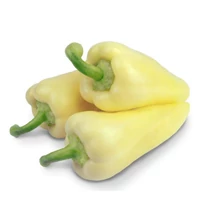 CARMA F1 fehér, töltenivaló paprika 500 szem