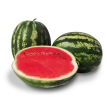 CHARISMA F1 görögdinnye 1000 szem