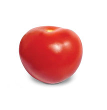 KORALL paradicsom 1000 szem