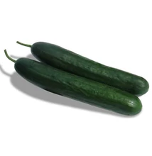 ZKI 15-26 F1 beth-alpha uborka 100 szem