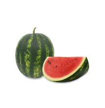 ZORA F1crimson görögdinnye